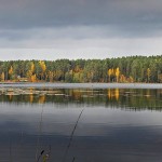 Государственный природный заказник «Озеро Щучье»