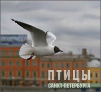 Птицы Санкт-Петербурга