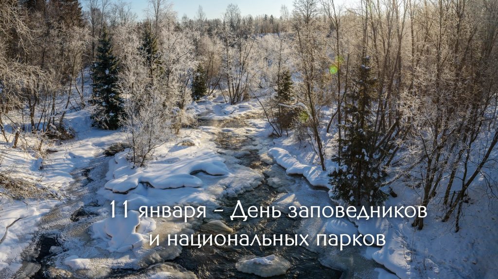 11 января — День заповедников и национальных парков в России