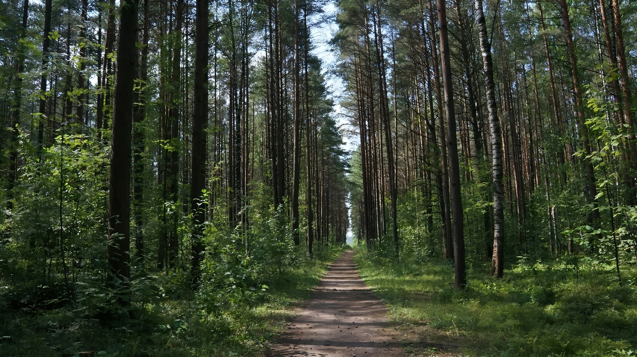 Заказнику 