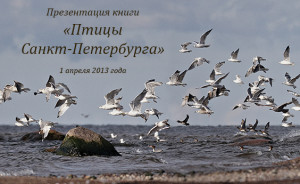 Презентация книги «Птицы Санкт-Петербурга»