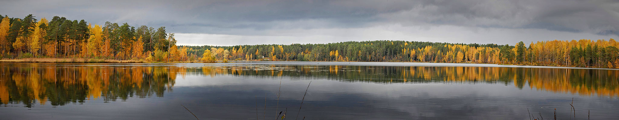 Государственный природный заказник «Озеро Щучье»