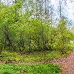 Государственный природный заказник «Новоорловский»