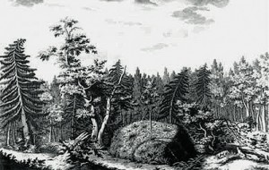 Гром-камень в Лахтинском лесу. Гравюра Я.Шлея по рисунку Ю. Фельтена