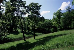 Фотография Дудергофских высот