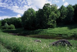 Фотография Дудергофских высот