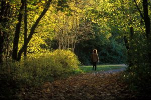 Фотография Дудергофских высот