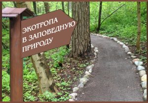 Ecotrail_