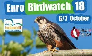 Общеевропейский учёт птиц (EuroBirdwatch 2018)