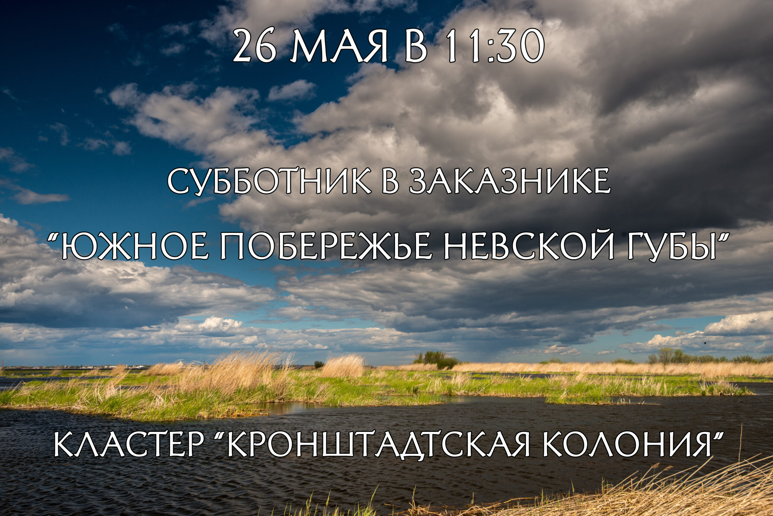 Приглашаем волонтёров в заказник «Южное побережье Невской губы», кластерный  участок «Кронштадтская колония» - ГКУ «Дирекция особо охраняемых природных  территорий Санкт-Петербурга»