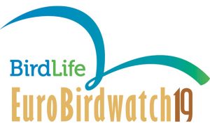 Общеевропейский учет птиц – EuroBirdwatch 2019