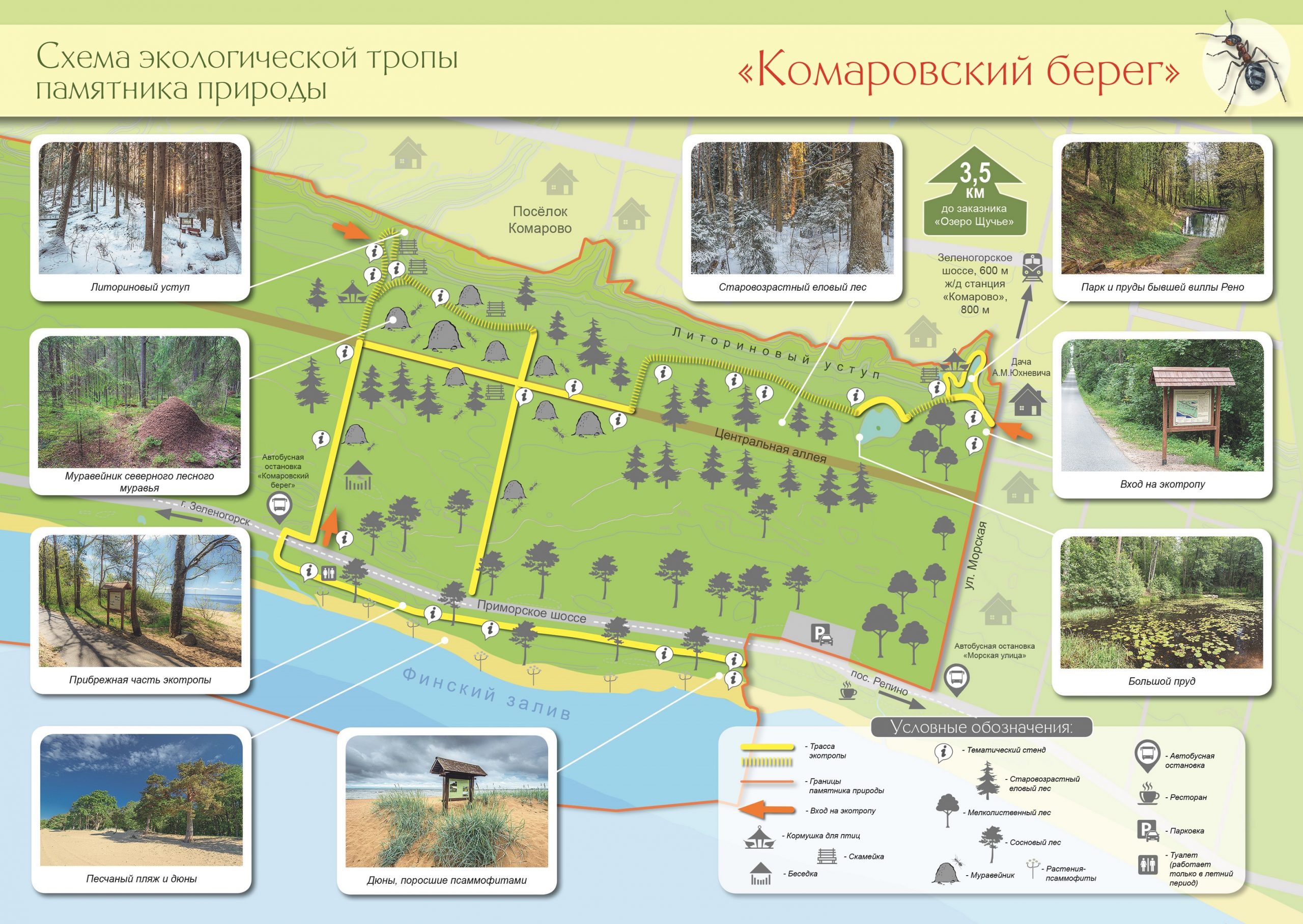 Схема экологического маршрута памятника природы «Комаровский берег»