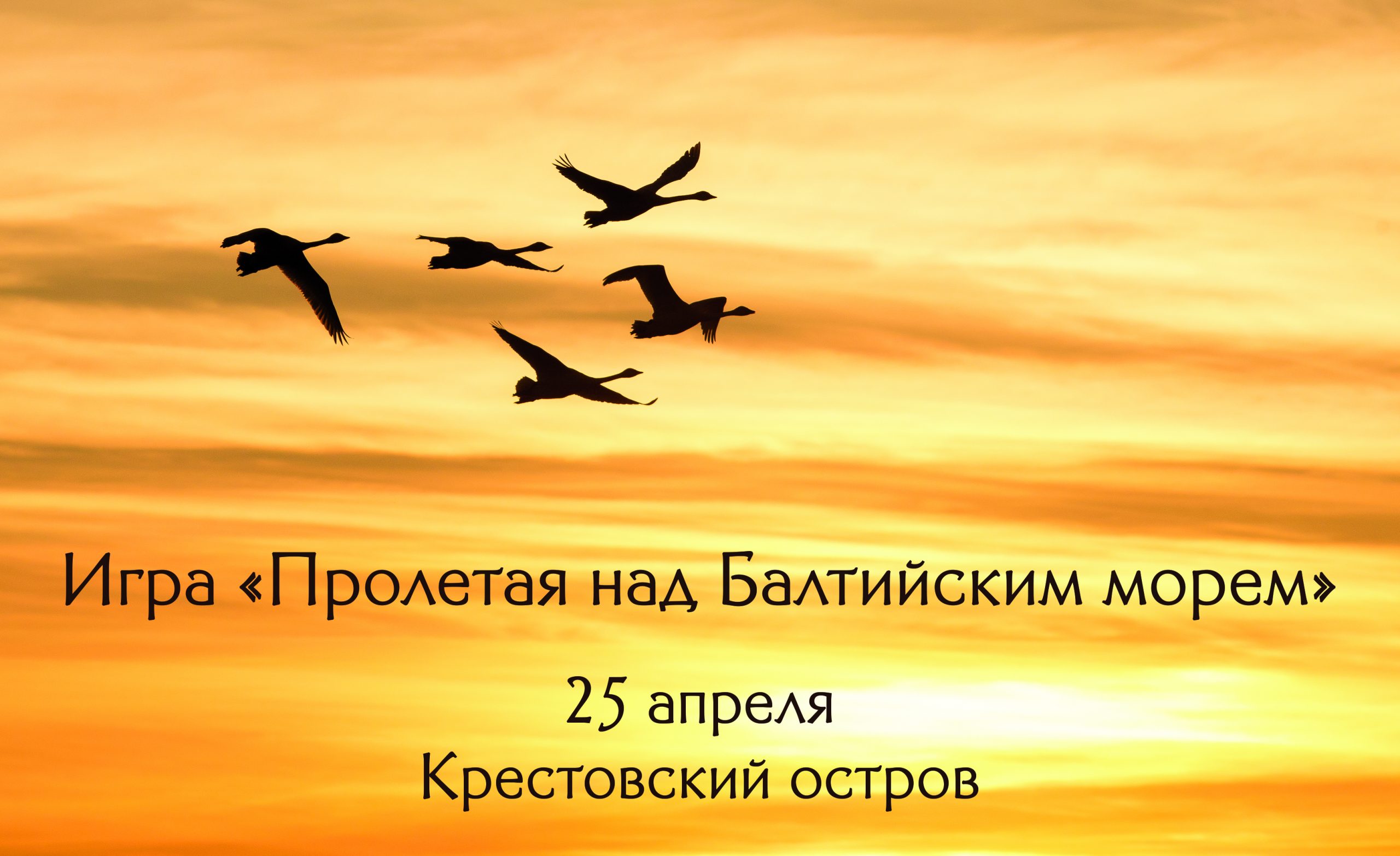 На Крестовском острове расскажут о перелётных птицах - ГКУ «Дирекция особо  охраняемых природных территорий Санкт-Петербурга»