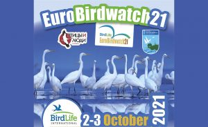 Евразийский учёт птиц (EuroBirdwatch 2021)
