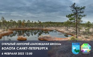 Открытая лекция о болотах Санкт-Петербурга