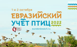 Евразийский учёт птиц-2022