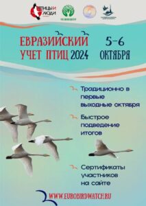 Евразийский учет птиц - 2024