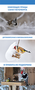 Веер-определитель зимующих птиц