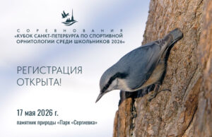 Кубок Санкт-Петербурга по спортивной орнитологии среди школьников-2026